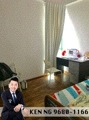The Sunny Spring thumbnail photo
